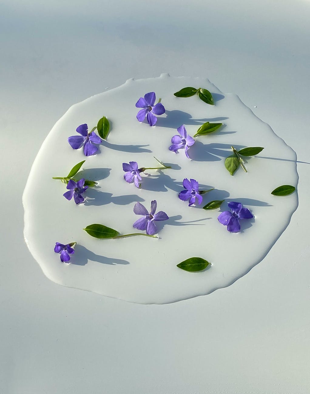 spilled milk decorated with flowers with leaves on table